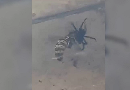 Elazığ'da nefes kesen tuzak