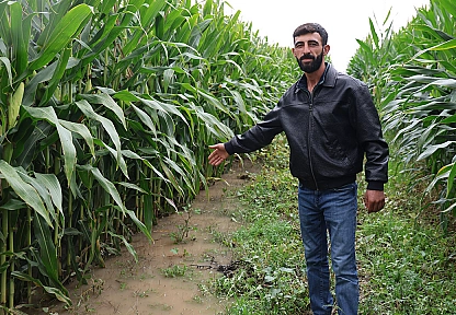 Elazığ'da sel suları 300 dönümlük emeği yuttu