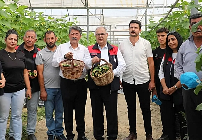 Elazığ'da seralar yenileniyor, üretim güçleniyor