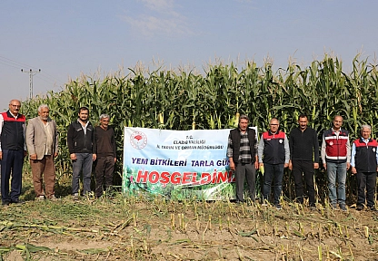 Elazığ'da silajlık mısır hasadı başladı: Üreticilere destek sürüyor