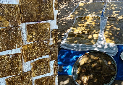 Elazığ'da şimdi tam zamanı yoğun mesaisi başladı