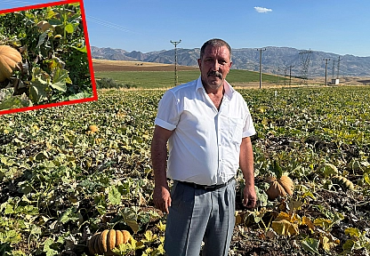 Elazığ'da üretilen o ürün dünyaya açılıyor