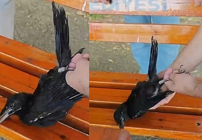 Elazığ'da vatandaştan yürek ısıtan hareket