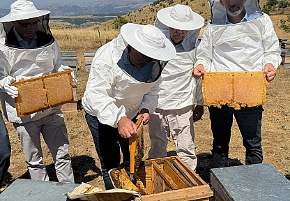 Elazığ geven balında organik hasat başladı