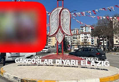 Elazığ'ın bu patlıcanı bildiklerinizden farklı