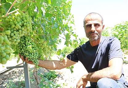 Gurbetten döndü, Elazığ'da 300 dönümü bağa dönüştürdü
