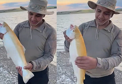 Keban Baraj Gölü'nde nadir bir av: Sarı albino alabalık yakalandı