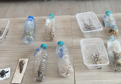 Nemrut Dağı'nda biyokaçakçılık operasyonu