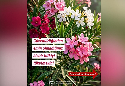 Tarım Bakanlığı'ndan bitki tüketiminde hayati uyarı