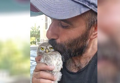 Tunceli'de yavru baykuşun sevimli anları gülümsetti