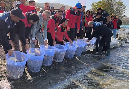 Yarışmada tutulan 422 sazan yeniden suya bırakıldı