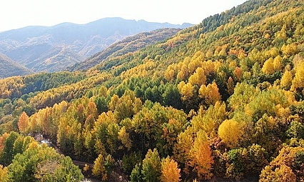 Tunceli sonbaharda görsel şölen sunuyor