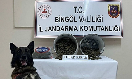 Bingöl'de 2,1 kilo esrar ele geçirildi, şüpheli tutuklandı