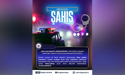 Bingöl'de hakkında 4 yıl kesinleşmiş hapis cezası bulunan şahıs yakalandı