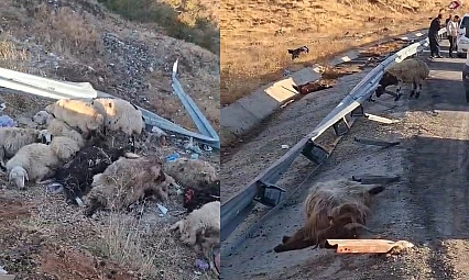 Bingöl'de kamyon şarampole yuvarlandı: Hayvanlar telef oldu