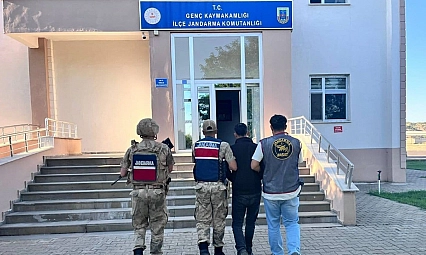 Bingöl'de kesinleşmiş hapis cezası olan şahıs tutuklandı