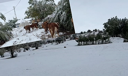 Bingöl'ün yüksek kesimleri beyaz örtüyle kapladı