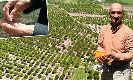 Çiftçilere ödeme müjdesi…