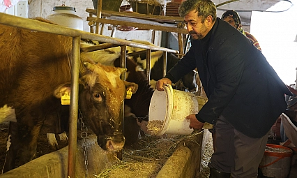 Elazığ'da besicilerin dondurucu soğuklarla mücadelesi