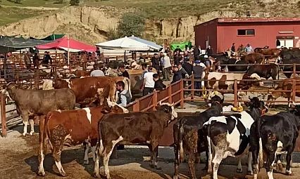 Elazığ'da hayvan pazarları ikinci bir emre kadar kapatıldı