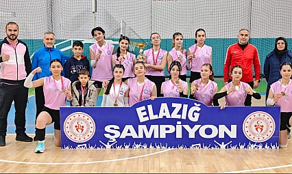 Elazığ'da  NFK  Anadolu Lisesi kız öğrencilerinden büyük başarı!