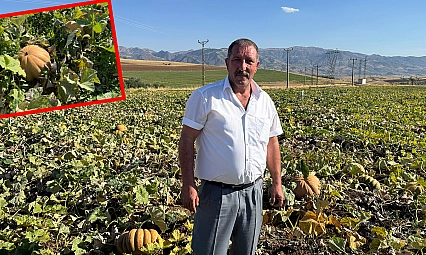 Elazığ'da üretilen o ürün dünyaya açılıyor