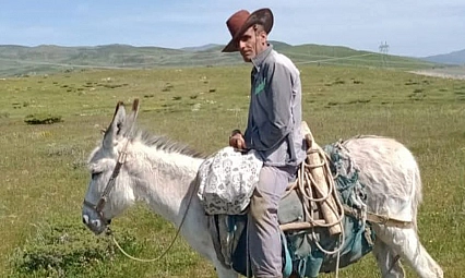 Karakoçan'da Kaybolan Eşeğini Bulana 5 Bin Lira Ödül