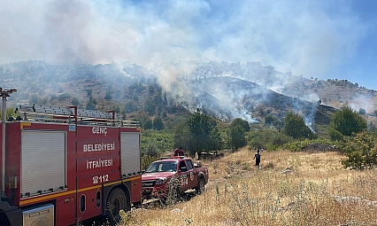 Köyde çıkan yangın ormana sıçradı
