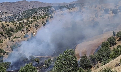 Malatya'da orman yangını