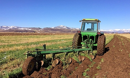 Şehirden köye dönüşte yeni dönem: Hükümetten dev destek paketi geliyor