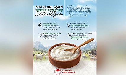 Silifke yoğurdu sınırları aştı: Asırlık lezzet tescillendi