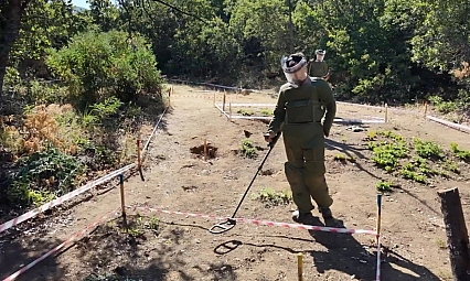 Terörsüz Türkiye ile Tunceli'de mayınlı araziler üretime kazandırılıyor