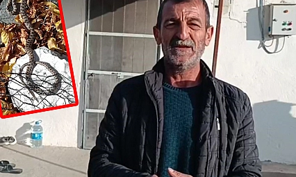 Tunceli'de emekli öğretmen, engerek yılanlarıyla konuşarak doğayı koruyor