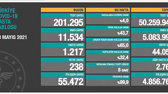Son 24 saatte korona virüsten 238 kişi hayatını kaybetti
