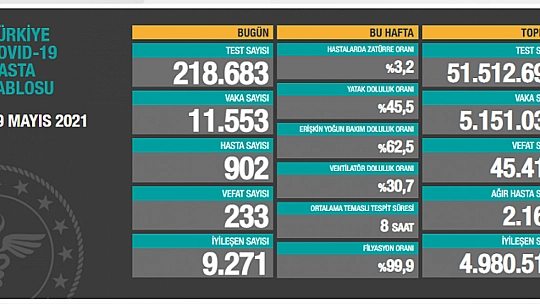 Son 24 saatte korona virüsten 233 kişi hayatını kaybetti