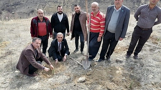 İyi Parti Fidan Dikimi Gerçekleştirdi