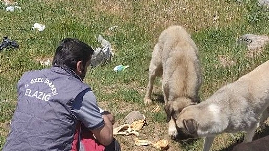 İl Özel İdaresi Ekiplerinden Yürek Isıtan Faaliyetler