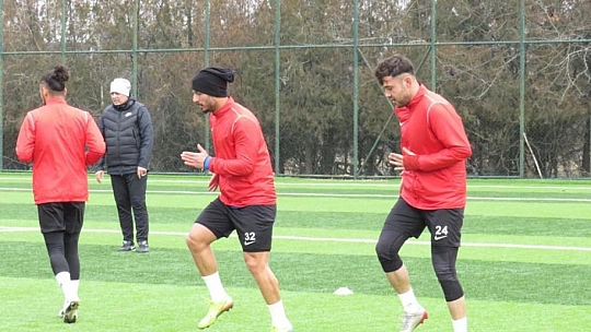 Karakoçlar, topbaşı yaptı