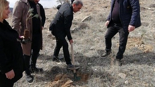 İyi Parti Fidan Dikimi Gerçekleştirdi