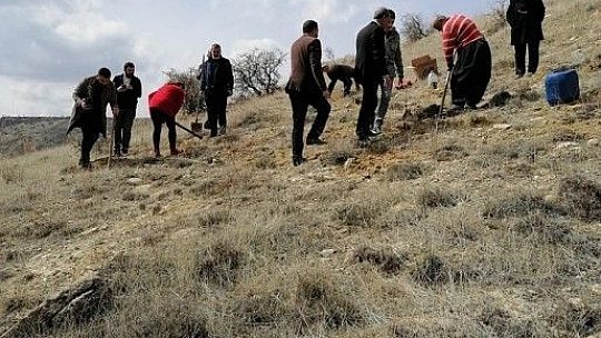 İyi Parti Fidan Dikimi Gerçekleştirdi
