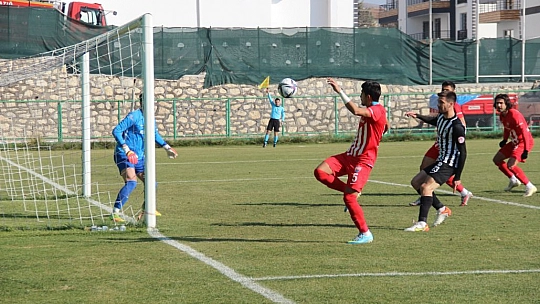 Karakoçlar, hayata döndü!