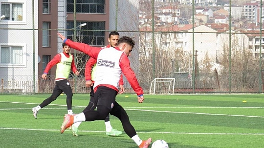 Karakoçlar, topbaşı yaptı