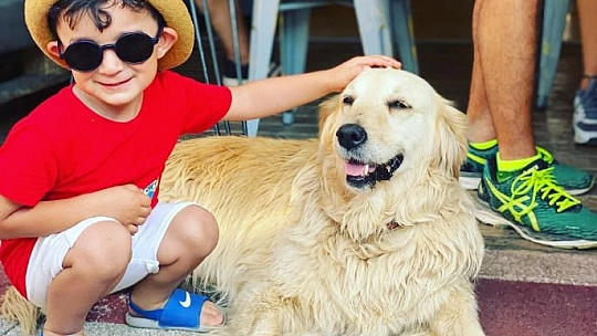 Mama Lüks Değil İhtiyaçtır!