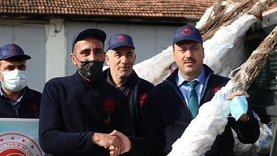 Elazığ'da Vişne Fidanı Dağıtıldı