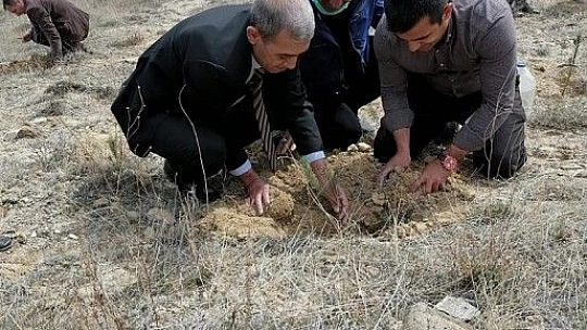 İyi Parti Fidan Dikimi Gerçekleştirdi