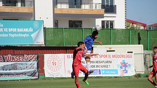 Yazık oldu Karakoçlar'a!