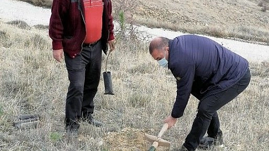 İyi Parti Fidan Dikimi Gerçekleştirdi