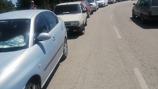 Elazığ'da Piknik Havası