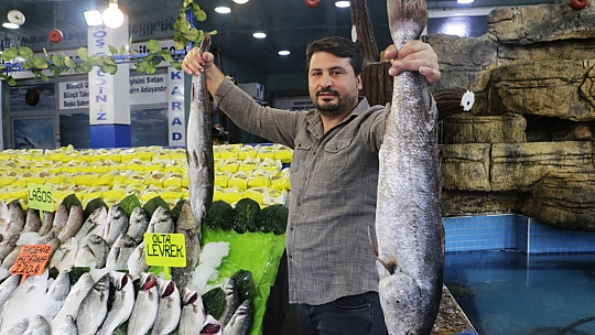 Ciğerin Tescillendiği Kentte Balık Rüzgarı
