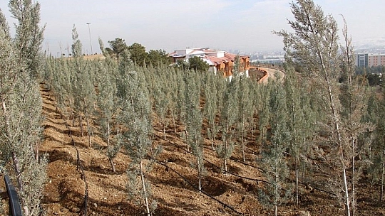 Bu merkez Avrupa'nın en büyüğü, enerjisini kendi üretiyor, hizmetleri ücretsiz